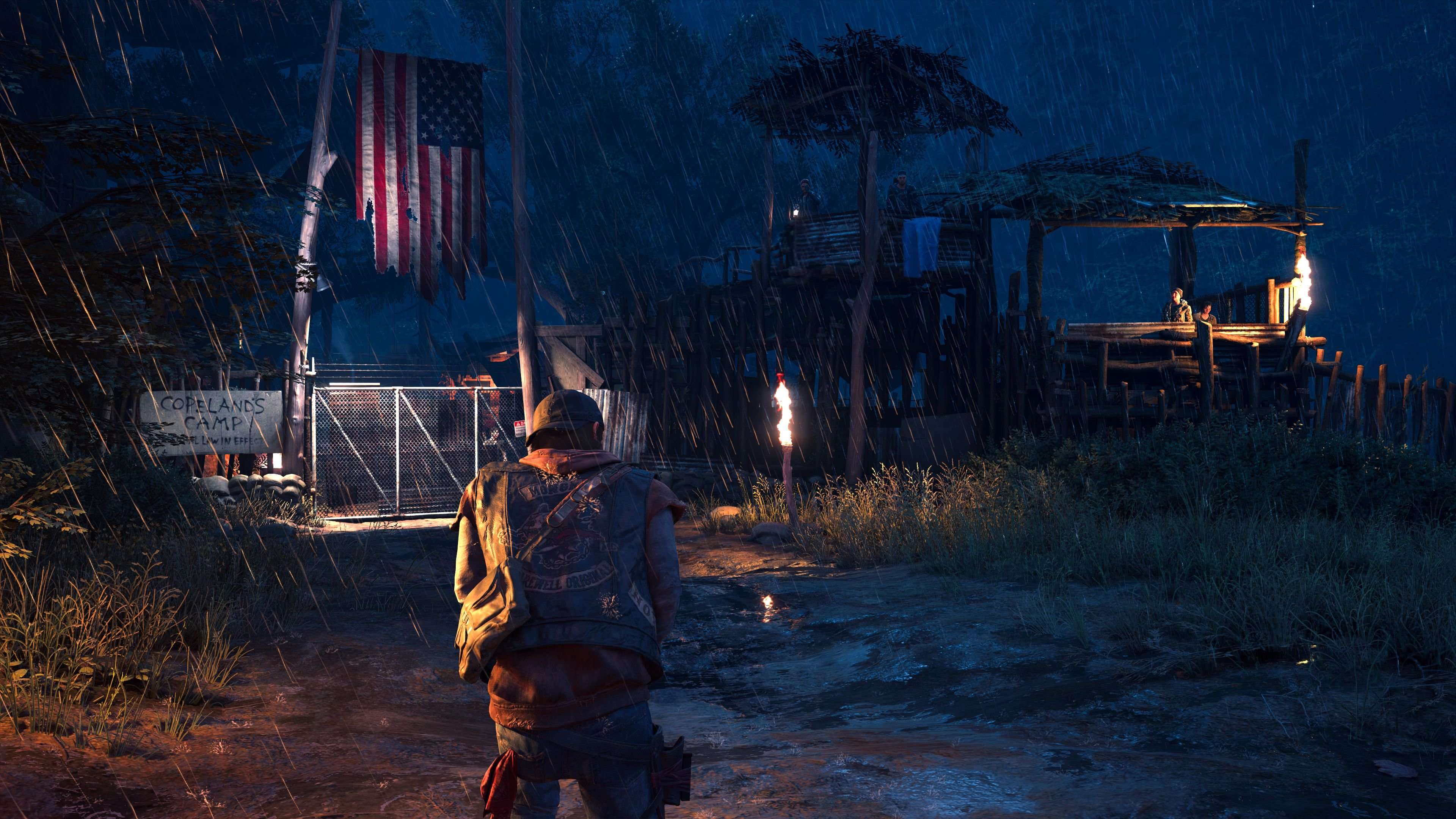 Days Gone - Imagen 49